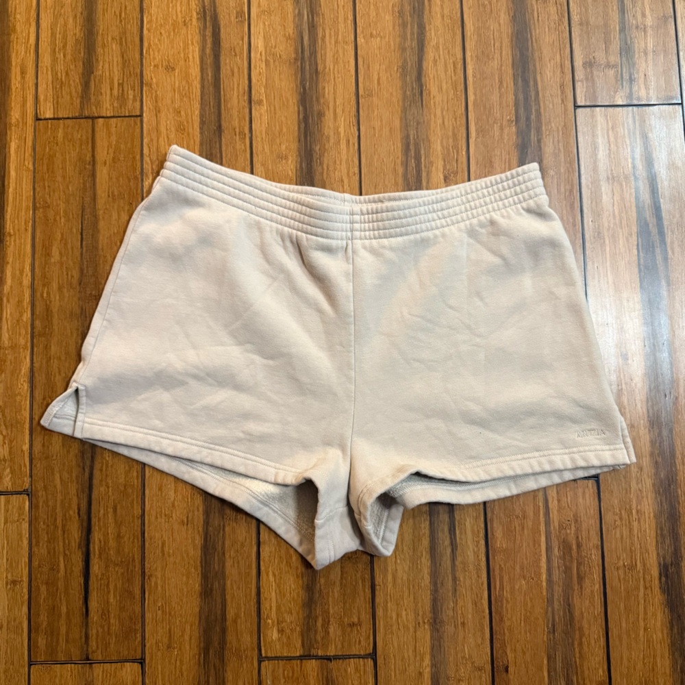 Aritzia Shorts